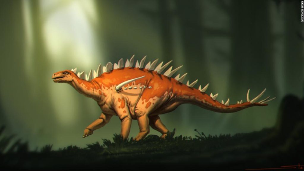 اكتشاف أحافير ستيجوصور لديه `` مزيج غريب من الميزات ''