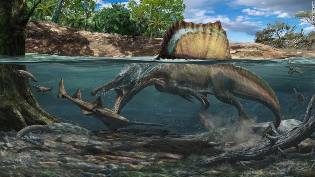سبح ديناصور أكبر من T. rex وصيد فريسته تحت الماء