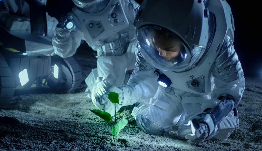العلماء يزرعون النباتات في تربة القمر - لأول مرة في تاريخ البشرية