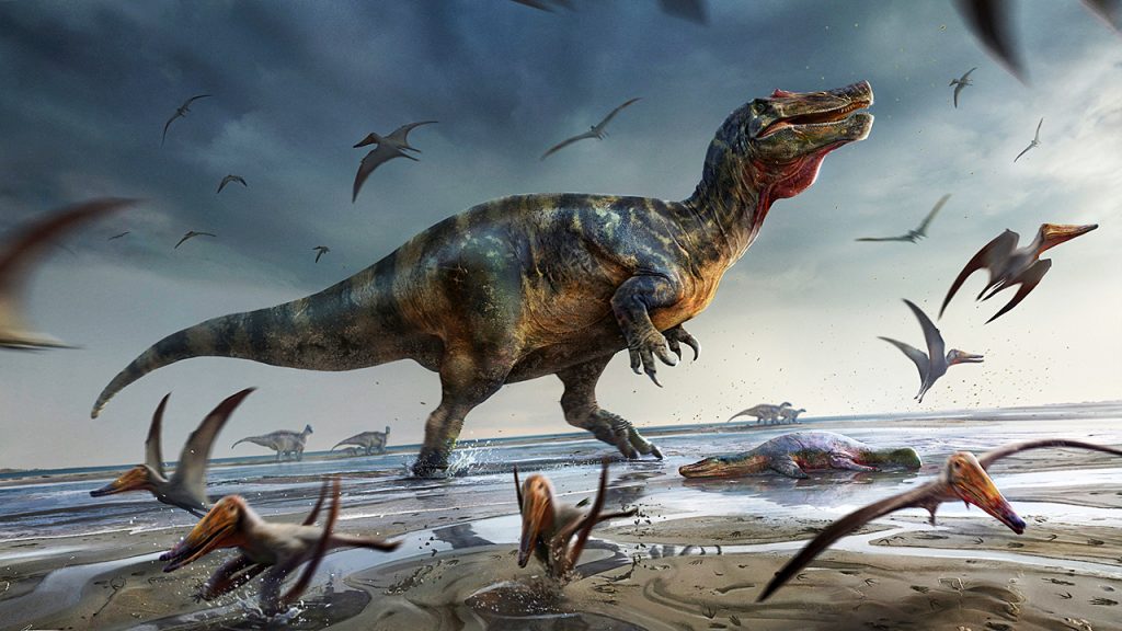 تم العثور على أحافير لأكبر ديناصور أكل اللحوم في أوروبا في جزيرة وايت