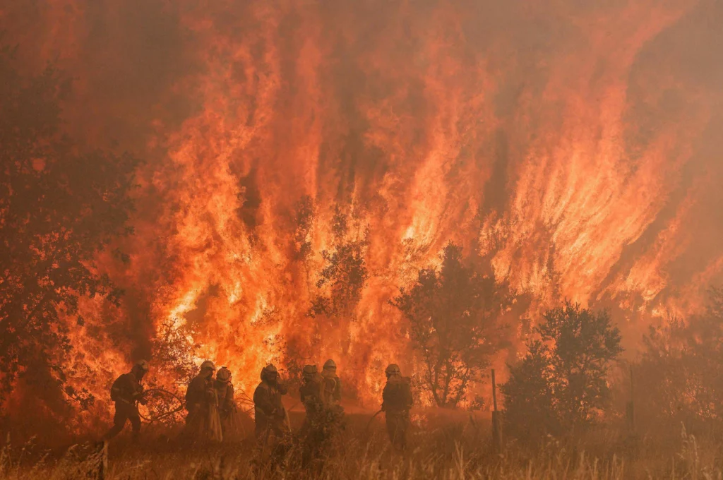 حرائق الغابات دمرتها إسبانيا وسط موجة حرارة قياسية