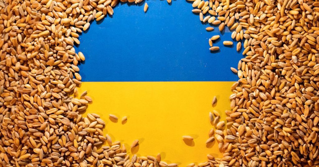 يروج بايدن لصوامع الحبوب المؤقتة على الحدود الأوكرانية للمساعدة في الصادرات
