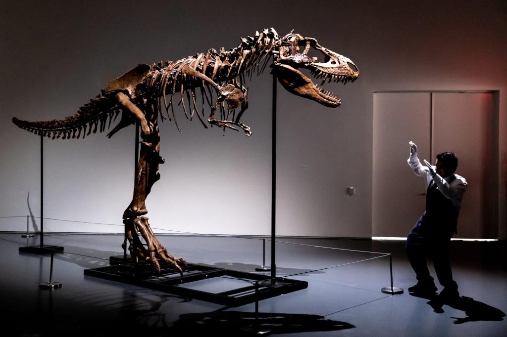 هيكل عظمي لديناصور جورجوسورس عمره 76 مليون عام للبيع بالمزاد