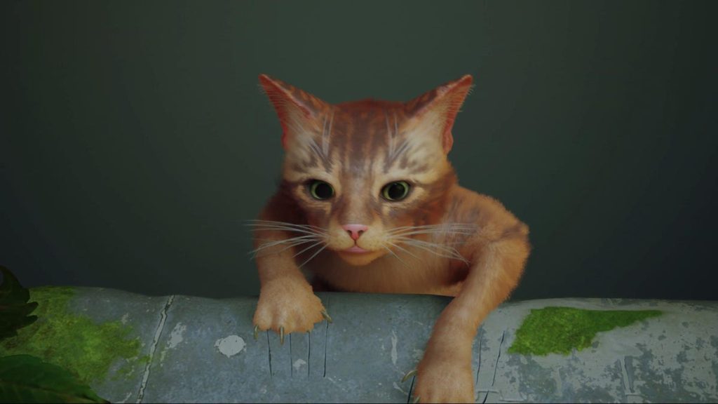 تحتوي لعبة Cat Stray على مشكلات أداء Unreal Engine 4 على جهاز الكمبيوتر