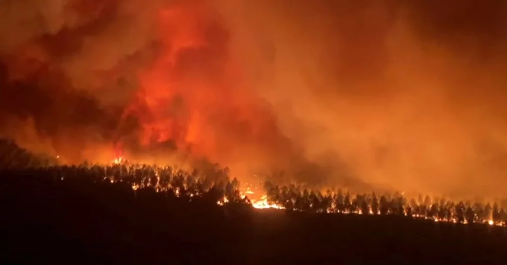 اشتعلت حرائق الغابات في فرنسا وإجلاء الآلاف من منازلهم