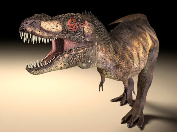 Large predatory dinosaurs – such as T. rex