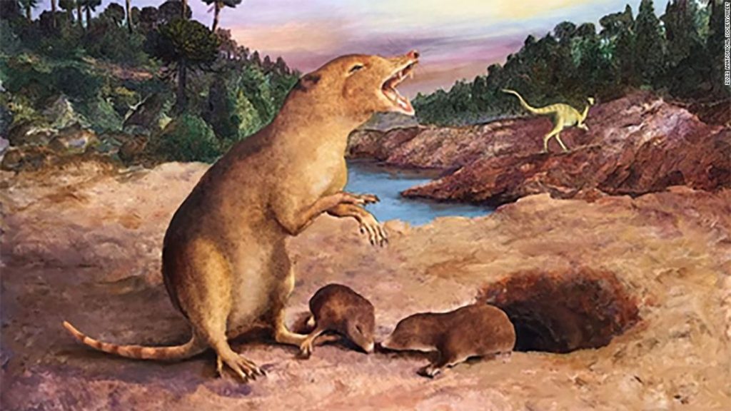 حيوان ثديي يبلغ من العمر 225 مليون عام هو الأقدم على الإطلاق