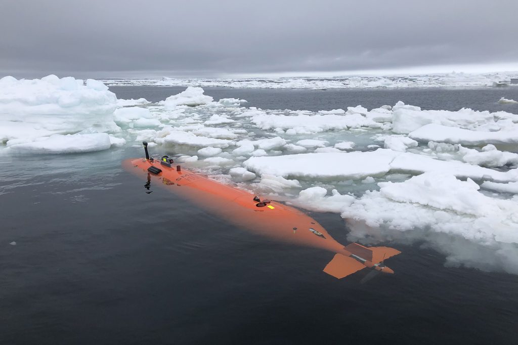 في وقت سابق من هذا العام ، حاولت مجموعة دولية من العلماء دراسة النهر الجليدي في محاولة للمساعدة في وقف التآكل.
