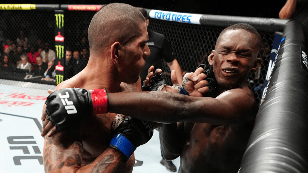 نتائج UFC 281 ، أبرز الأحداث: أليكس بيريرا يصعق بالضربة القاضية إسرائيل Adesanya والمطالبة باللقب