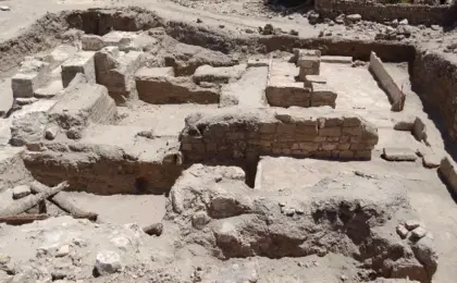 الآثار: الكشف عن عناصر معمارية جديدة من معبد القصر القديم بالواحات البحرية