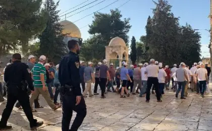 مستوطنون يقتحمون باحات المسجد الأقصى