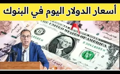 سعر الدولار اليوم في مصر